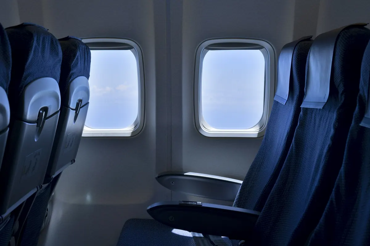 Airline seats beside a row of cabin windows